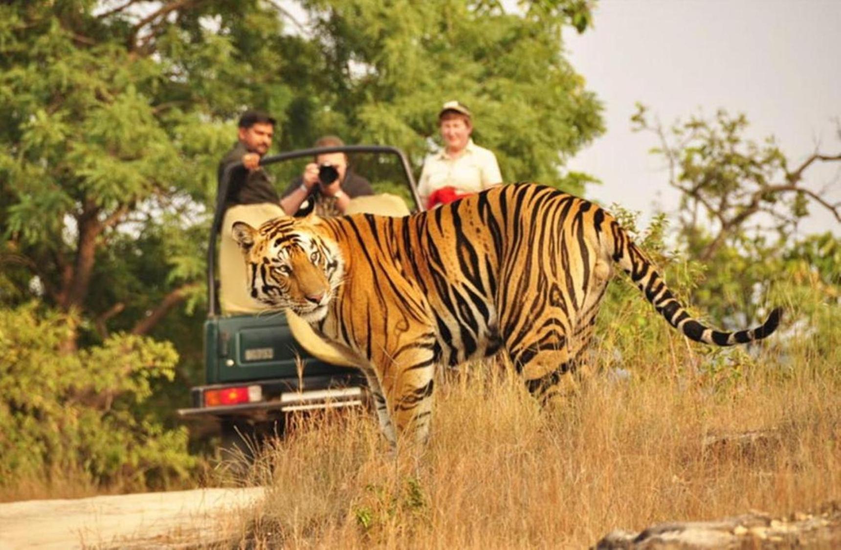 The Vanashrya Ranthambore 호텔 Khilchīpur 외부 사진